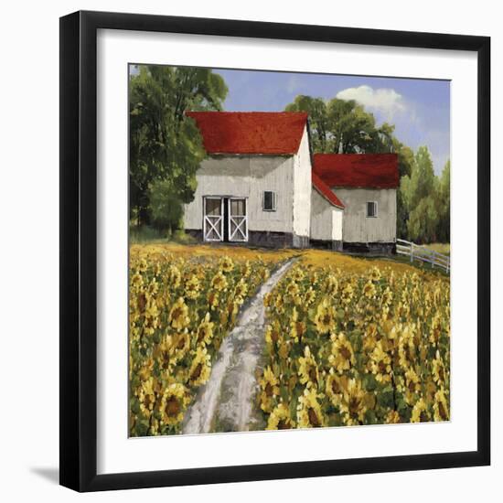 Sunflower Path-Mark Chandon-Framed Giclee Print