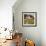 Sunflower Path-Mark Chandon-Framed Giclee Print displayed on a wall