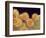 Sunflower pollen at a magnification of x1000-Micro Discovery-Framed Photographic Print