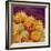 Sunflower pollen at a magnification of x1000-Micro Discovery-Framed Photographic Print