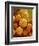 Sunflower Pollen-Micro Discovery-Framed Photographic Print