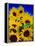 Sunflower Relief, 1999-Norman Hollands-Framed Premier Image Canvas