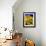 Sunflower Relief, 1999-Norman Hollands-Framed Photographic Print displayed on a wall