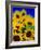 Sunflower Relief, 1999-Norman Hollands-Framed Photographic Print