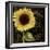 Sunflower Salon I-Color Bakery-Framed Giclee Print