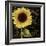 Sunflower Salon I-Color Bakery-Framed Giclee Print