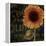 Sunflower Salon II-Color Bakery-Framed Premier Image Canvas