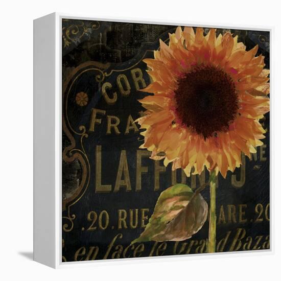 Sunflower Salon II-Color Bakery-Framed Premier Image Canvas