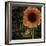 Sunflower Salon II-Color Bakery-Framed Giclee Print