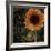 Sunflower Salon II-Color Bakery-Framed Giclee Print