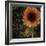 Sunflower Salon II-Color Bakery-Framed Giclee Print