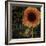 Sunflower Salon II-Color Bakery-Framed Giclee Print