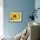 Sunflower, Seattle, Washington, USA-Terry Eggers-Framed Photographic Print displayed on a wall