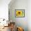 Sunflower, Seattle, Washington, USA-Terry Eggers-Framed Photographic Print displayed on a wall