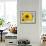 Sunflower, Seattle, Washington, USA-Terry Eggers-Framed Photographic Print displayed on a wall