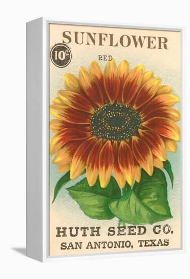 Sunflower Seed Packet-null-Framed Stretched Canvas