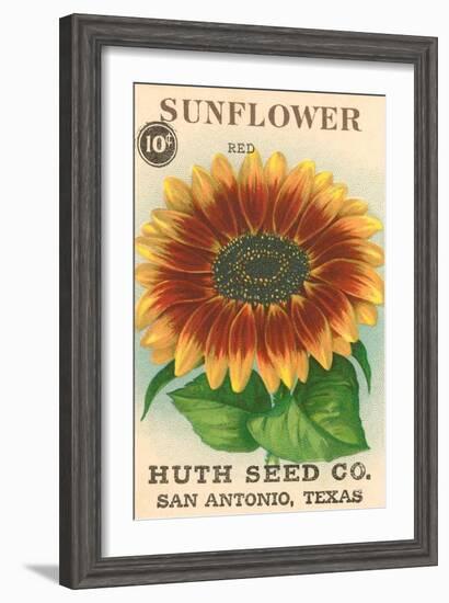 Sunflower Seed Packet-null-Framed Art Print