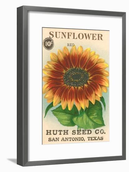 Sunflower Seed Packet-null-Framed Art Print