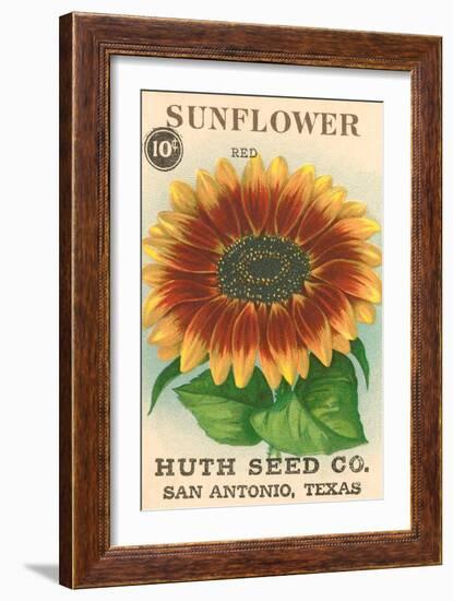 Sunflower Seed Packet-null-Framed Art Print