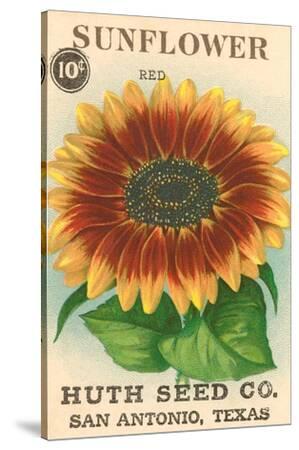 Sunflower　テキスト７冊　手書き資料 Sunflower Seed Packet' Art Print | Art.com