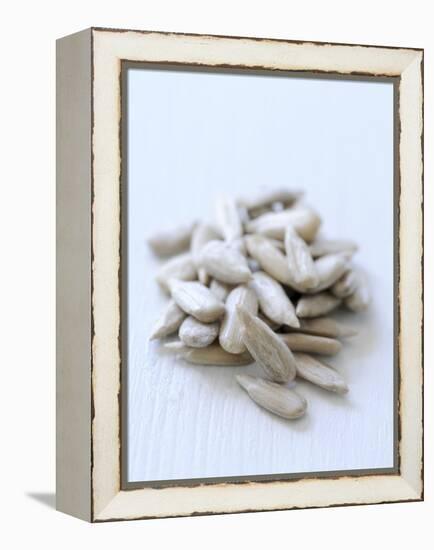 Sunflower Seeds-Alena Hrbkova-Framed Premier Image Canvas