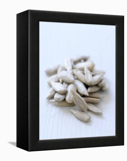 Sunflower Seeds-Alena Hrbkova-Framed Premier Image Canvas