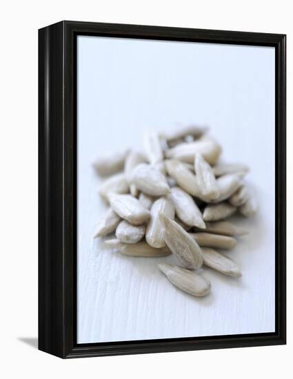 Sunflower Seeds-Alena Hrbkova-Framed Premier Image Canvas