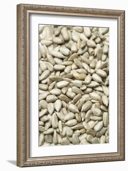 Sunflower Seeds-Jon Stokes-Framed Photographic Print