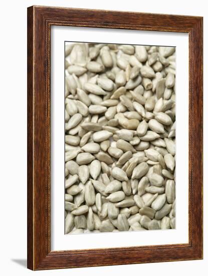 Sunflower Seeds-Jon Stokes-Framed Photographic Print