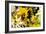 Sunflower Series Garden Variety Cat-Ruth Palmer-Framed Art Print