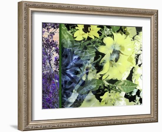 Sunflower Series Pale Yellow-Ruth Palmer-Framed Art Print