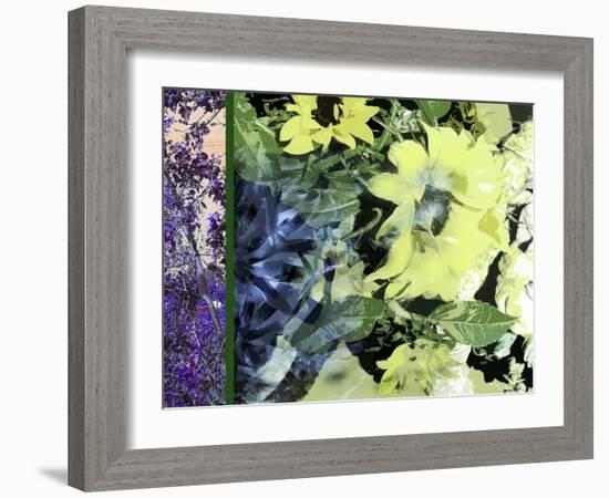 Sunflower Series Pale Yellow-Ruth Palmer-Framed Art Print