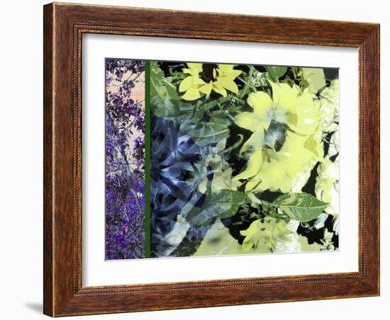 Sunflower Series Pale Yellow-Ruth Palmer-Framed Art Print