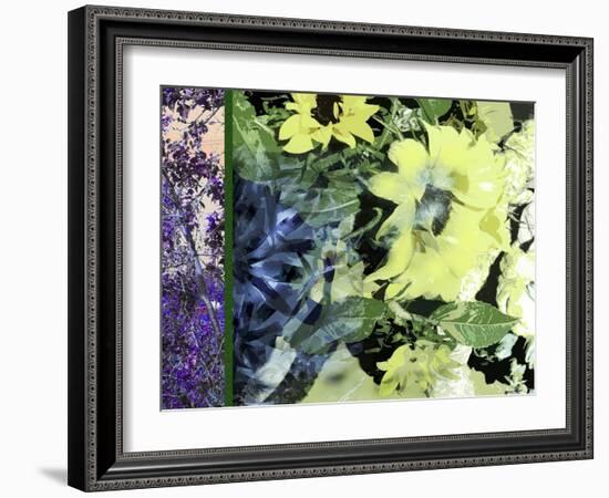 Sunflower Series Pale Yellow-Ruth Palmer-Framed Art Print