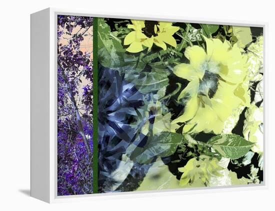 Sunflower Series Pale Yellow-Ruth Palmer-Framed Stretched Canvas