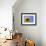 Sunflower Splendor-Stephen Lebovits-Framed Giclee Print displayed on a wall