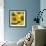 Sunflower Square-Stacy Bass-Framed Giclee Print displayed on a wall