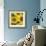Sunflower Square-Stacy Bass-Framed Giclee Print displayed on a wall