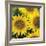 Sunflower Square-Stacy Bass-Framed Giclee Print