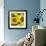 Sunflower Square-Stacy Bass-Framed Giclee Print displayed on a wall