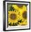 Sunflower Square-Stacy Bass-Framed Giclee Print