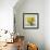 Sunflower Still Life II on Gray-Danhui Nai-Framed Art Print displayed on a wall