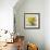 Sunflower Still Life II on Gray-Danhui Nai-Framed Art Print displayed on a wall