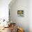 Sunflower Still Life-Christopher Ryland-Framed Premier Image Canvas displayed on a wall