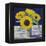 Sunflower Still Life-Christopher Ryland-Framed Premier Image Canvas