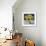 Sunflower Still Life-Christopher Ryland-Framed Giclee Print displayed on a wall