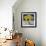 Sunflower Still Life-Christopher Ryland-Framed Giclee Print displayed on a wall