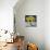 Sunflower Still Life-Christopher Ryland-Mounted Giclee Print displayed on a wall