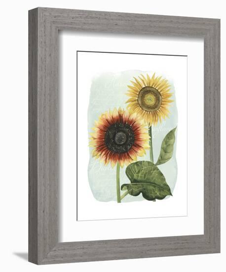 Sunflower Study I-Grace Popp-Framed Art Print