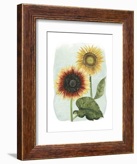 Sunflower Study I-Grace Popp-Framed Art Print